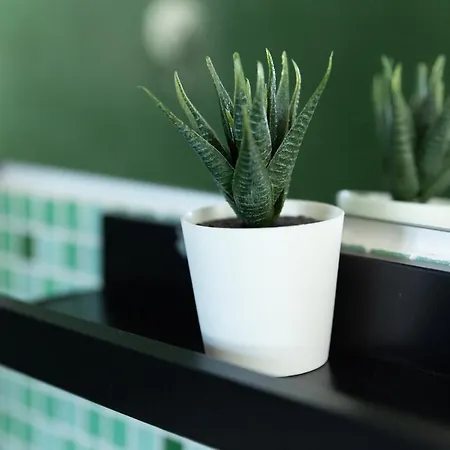 Bellini Bed & Breakfast 3*