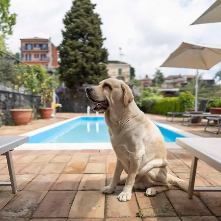 Bed and breakfast Bellini Milo