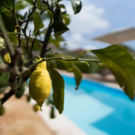 Bellini 住宿加早餐酒店 米罗