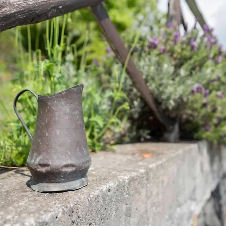 Bed & Breakfast Bellini Milo