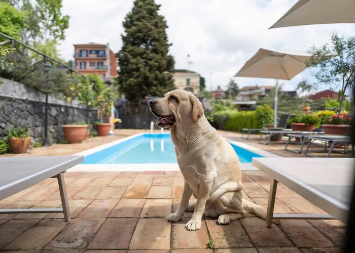 住宿加早餐酒店 Bellini 米罗