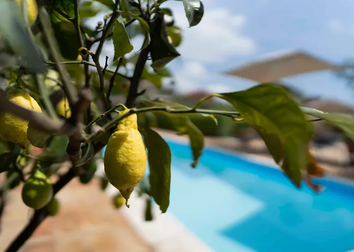 Bellini 住宿加早餐酒店 米罗