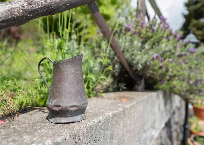 住宿加早餐酒店 Bellini 米罗